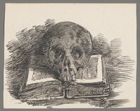 Busch, Hedwig: Totenschädel auf einem geöffneten Buch (Rs. Pflanzenstudie)