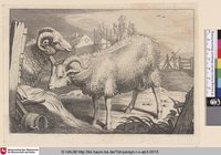 [Schaf und Widder; Sheep and a Ram]