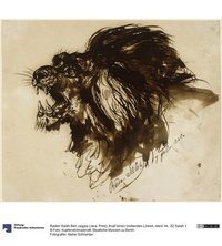 Kopf eines brüllenden Löwen