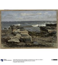 Meeresküste auf Rügen mit Steindämmen
