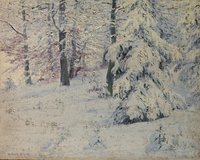 Wald im Winter (Forest in Winter)