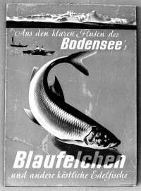 Reklameschild für Blaufelchen aus dem Bodensee