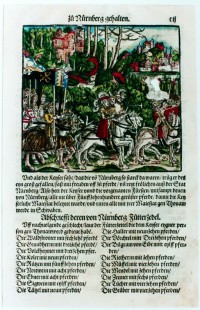 Geleit der Nürnberger Bürger für den Kaiser nach Donauwörth