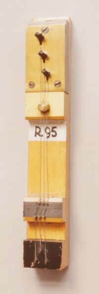 R 95 - Stimmwirbel