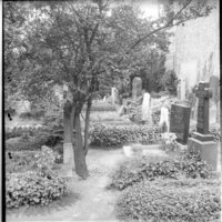 Negativ: Alter Schöneberger Friedhof, 1951