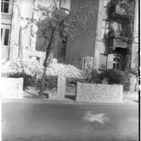 Negativ: Gelände, Bamberger Straße 36, 1952