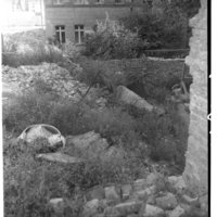 Negativ: Gelände, Luitpoldstraße 32, 1952