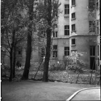 Negativ: Ruine, Heylstraße 26, 1953