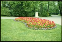 Blumenbeet im Volkspark Wilmersdorf