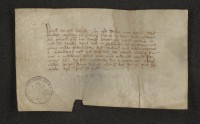 Bischof Burchard [II.] von Havelberg weist Dietrich [Gans von] Putlitz, Kaplan in Perleberg, an,....(1353)