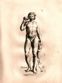 Bacchus des Michelangelo